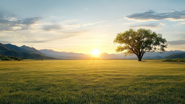 A soft morning landscape with gentle rolling hills, a warm sunrise glow, and quietly placed trees suggesting peaceful early calm